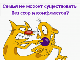 Семья не может жить без ссор и конфликтов?